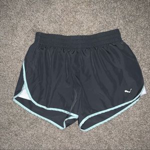 Puma Track Shorts